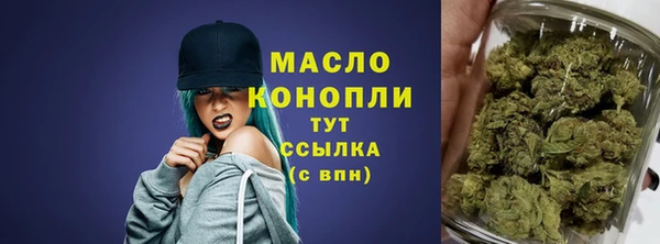 прущий лед Абаза