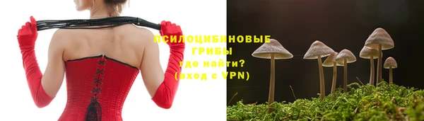 герыч Алексин