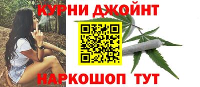 гидра Можга