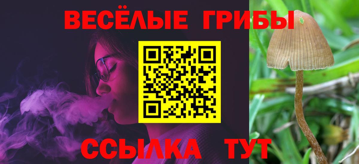 Белая Калитва  Псилоцибиновые грибы GOLDEN TEACHER  сколько стоит  Галлюциногенные грибы мицелий  Вход с VPN 
